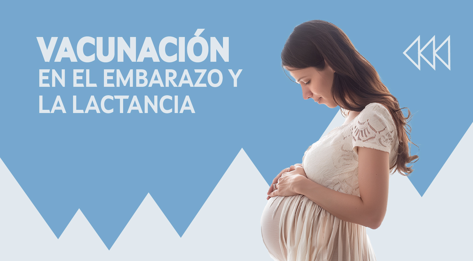 Vacunación en el embarazo y en la lactancia