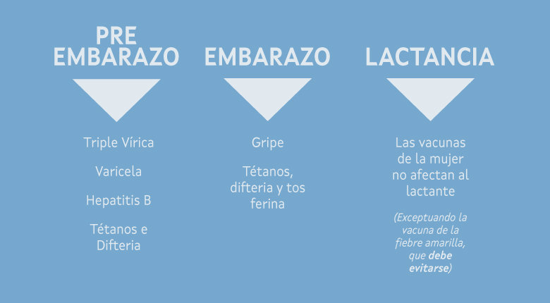 Vacunación en el embarazo y en la lactancia