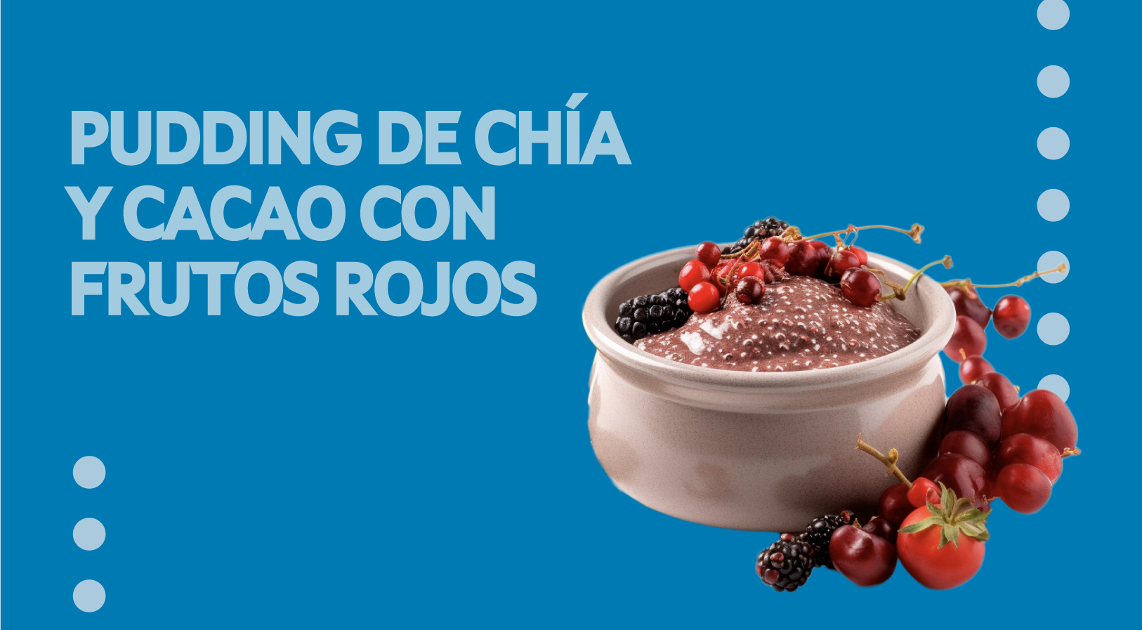 Pudding de chía y cacao con frutos rojos