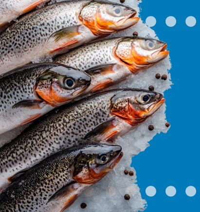 Día Mundial da Alimentación 2025: “Da man por uns alimentos e un futuro mellores”