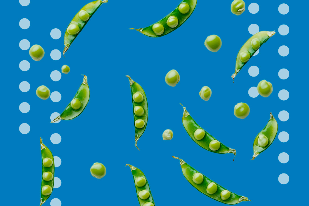 Día mundial dos legumes