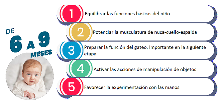 AF_1 año _objetivos_6_9_Esp.png