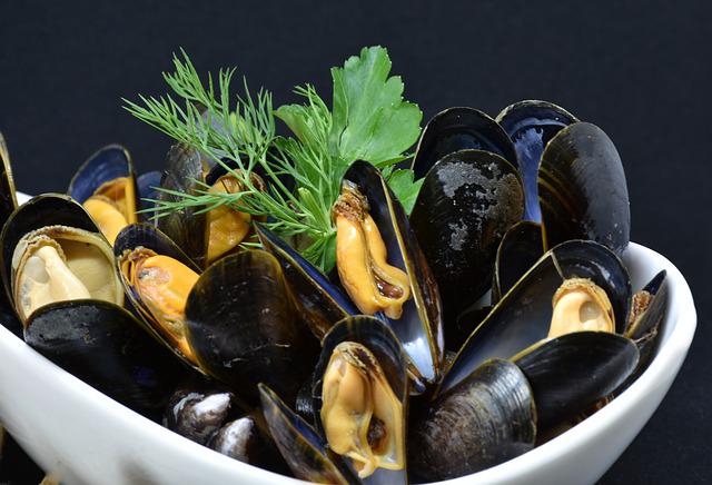 MEjillones.jpg