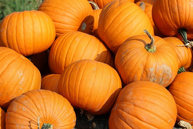 calabaza.jpg